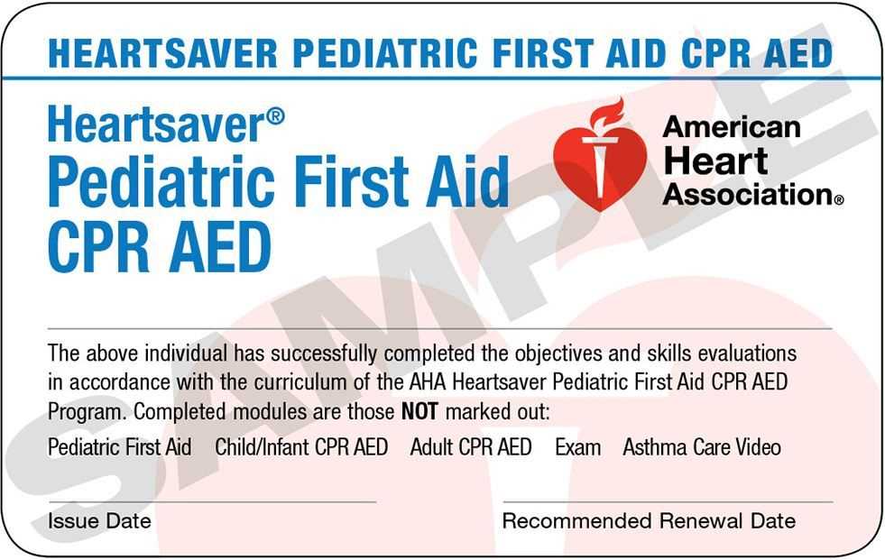Updated Guidelines for American Heart Association CPR Test 2024