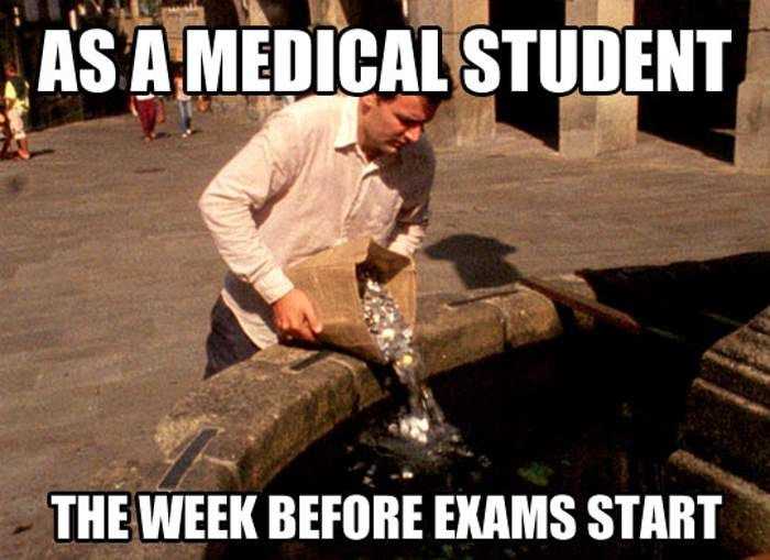 Exam Stress: Memes That Perfectly Capture the Feeling