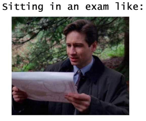 Funny final exam memes